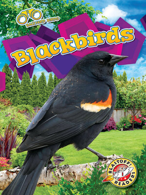 cover image of Blackbirds